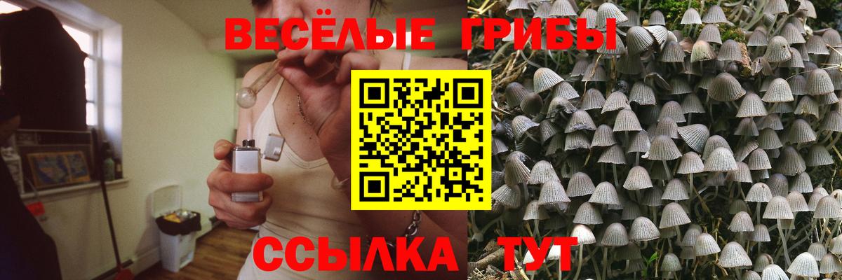 Псилоцибиновые грибы мухоморы Лесосибирск